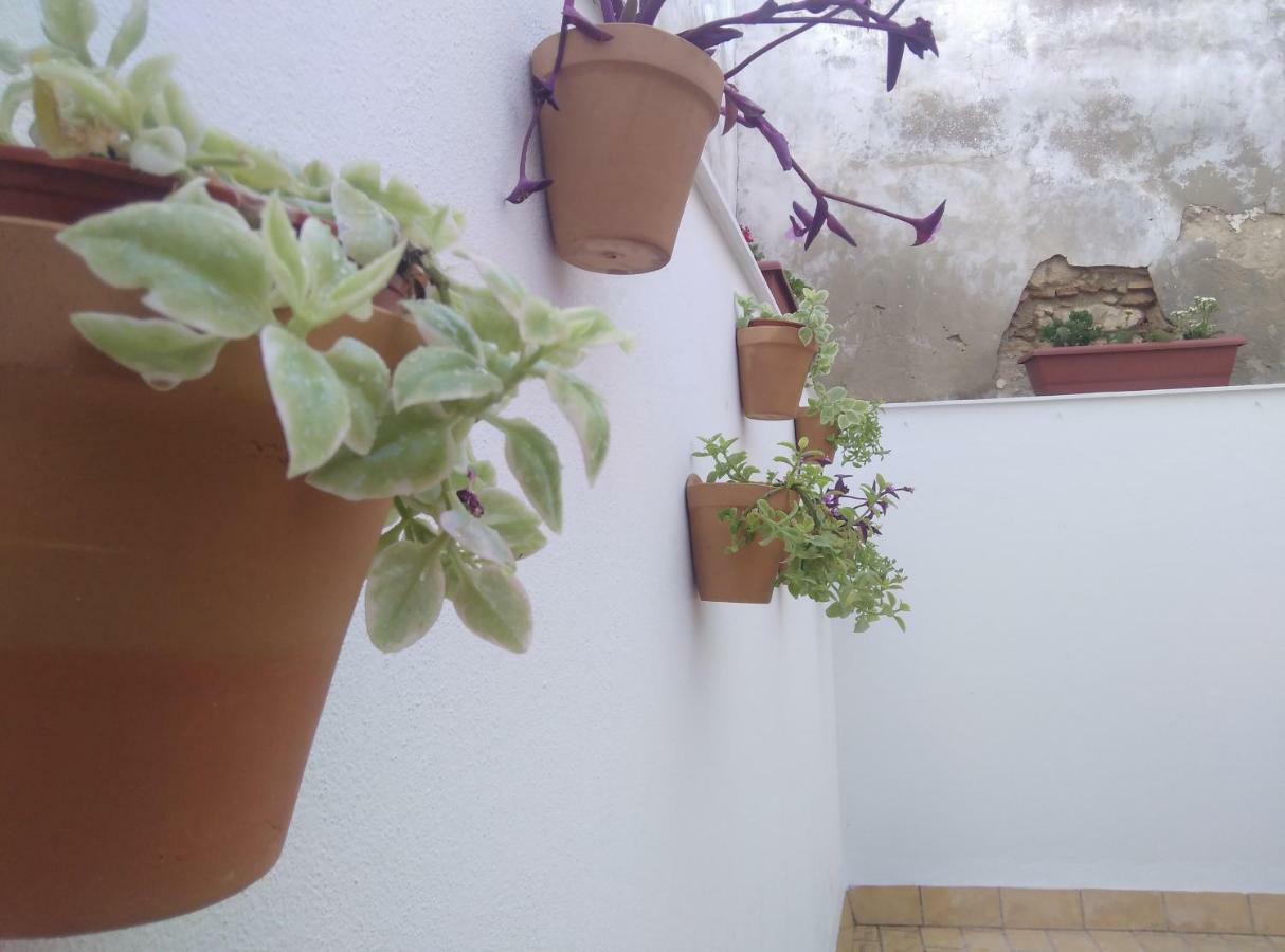 Apartamento Palo Cortao Херес де ла Фронтера Екстериор снимка